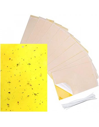6" x 12" Sticky Fly Traps, Case/500