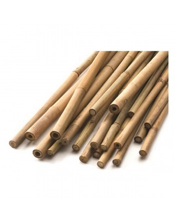 Bamboo Plant Support Rods, Natural, Heavy Duty
